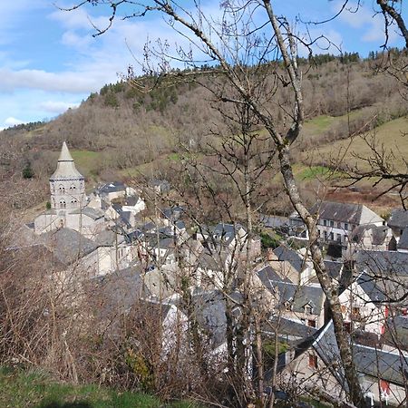 Gite Les Bois Orcival Extérieur photo