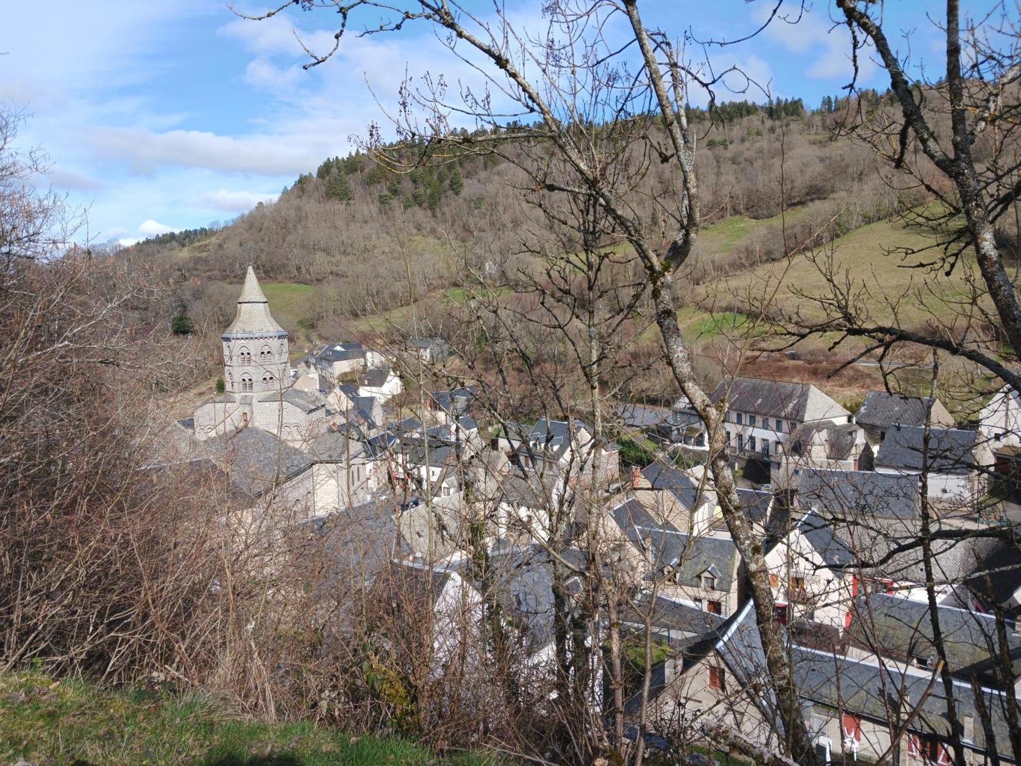 Gite Les Bois Orcival Extérieur photo