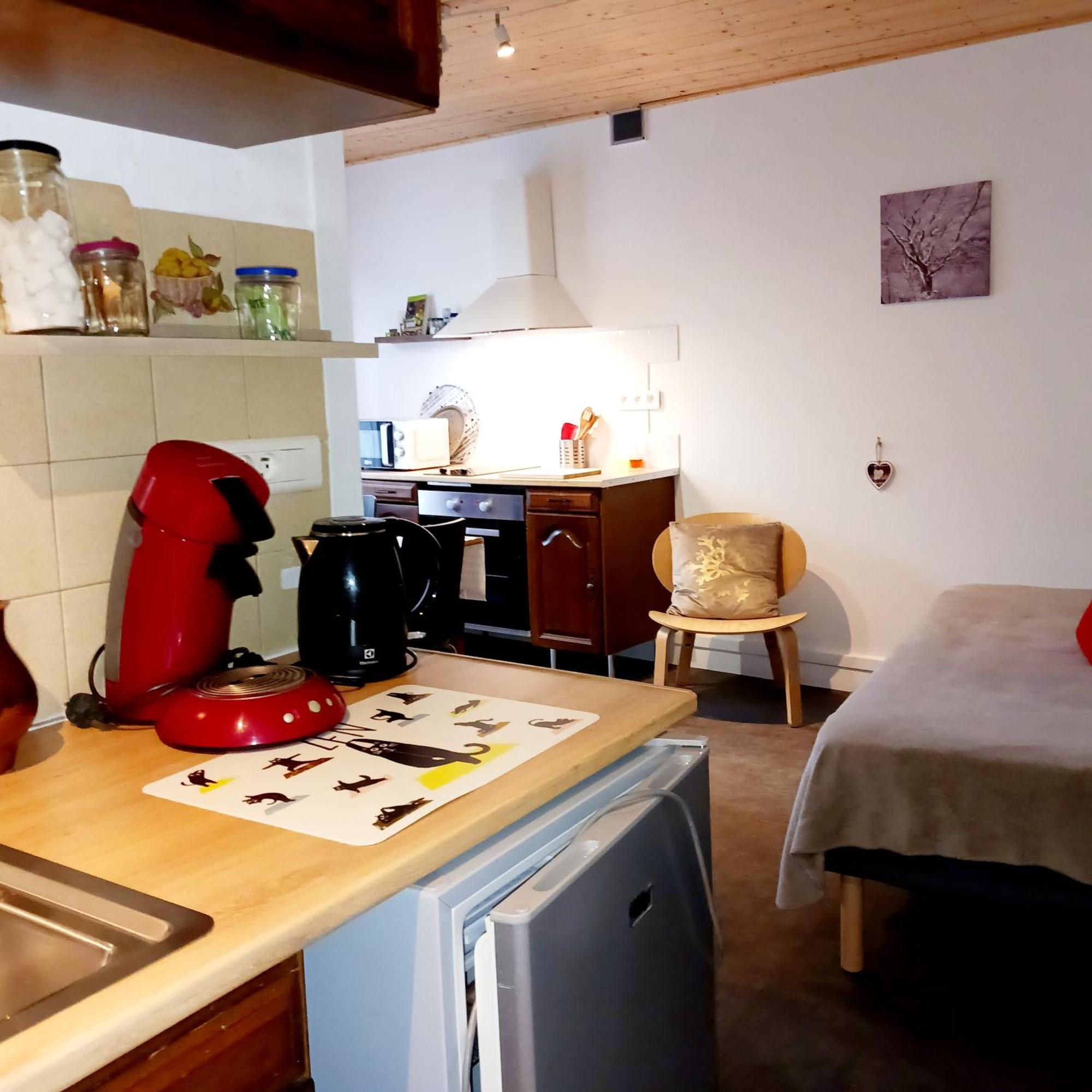 Gite Les Bois Orcival Extérieur photo